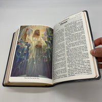 Warner Sallman Art Edition Holy Bible KJV 1990 Giant Print Reference 880C Clean