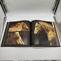 The Forgotten Horses (2008) Tony Stromberg Photography Large Hardcover Very Good