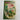 Chinese Paintings for Beginners 46 Flower & Birds of Meiji Tattoo Reference Book