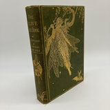 First Edition The Olive Fairy Book (1907) Andrew Lang UK Hardcover Very Good