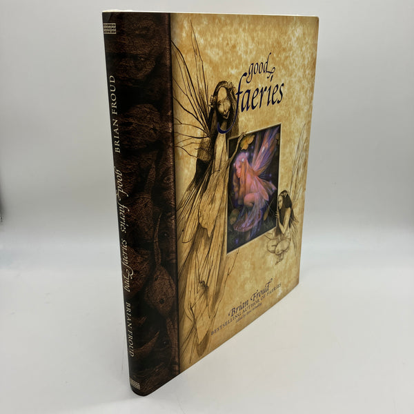 Good Faeries Bad Faeries (1998) Brian Froud Illustrated Fantasy Hardcover Good