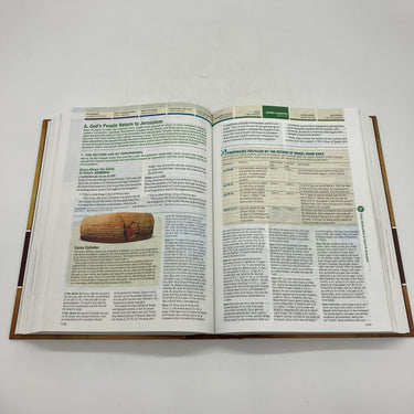 NLT Chronological Life Application Study Bible (2013) Tyndale House HC Good