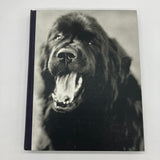 Gentle Giants Book of Newfoundlands (1994) Bruce Weber Photography First Edition