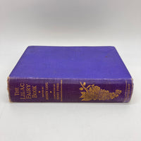 The Lilac Fairy Book (1928) Andrew Lang HC 6 Color Plates Numerous Illustrations