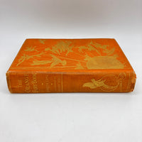 First Edition The Orange Fairy Book (1906) Andrew Lang Color Illustrated Good