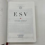 ESV Study Bible Trutone ForestTan Trail Design 2008 Crossway Imitation Leather